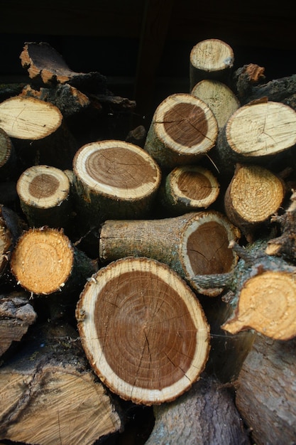 texture of firewood