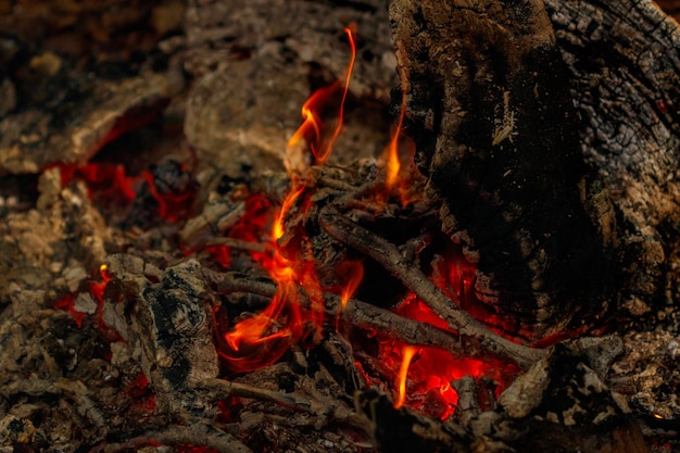 Texture flame from burning logs at night