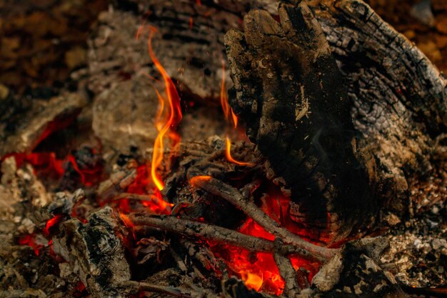Текстура пламени от горящих бревен ночью