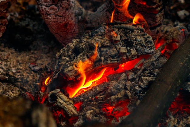 Texture flame from burning logs at night