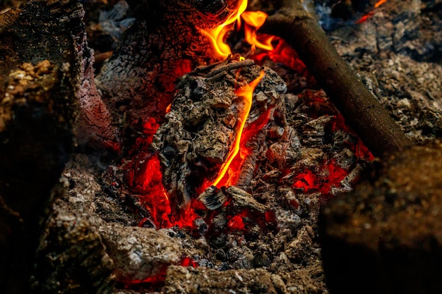 Texture flame from burning logs at night