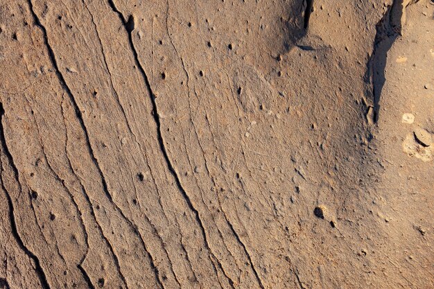 texture of fossilized volcanic sands