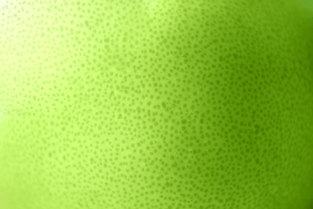 Foto struttura della buccia di calce verde intenso fresca, primo piano, spazio della copia. macro di frutta arancione. agrumi
