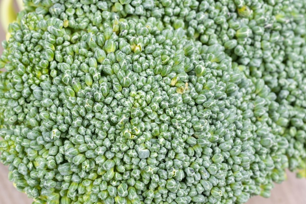 Texture of fresh broccoli vegetables Macro photography