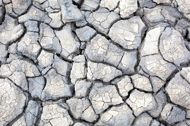 The texture of gray cracked earth, dried volcanic clay with cracks. Ultimate Gray. Natural background, copyspace