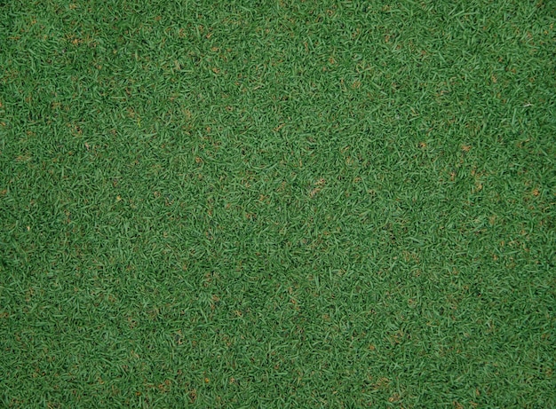 The texture of green artificial grassCovering for sports stadiums and decorations