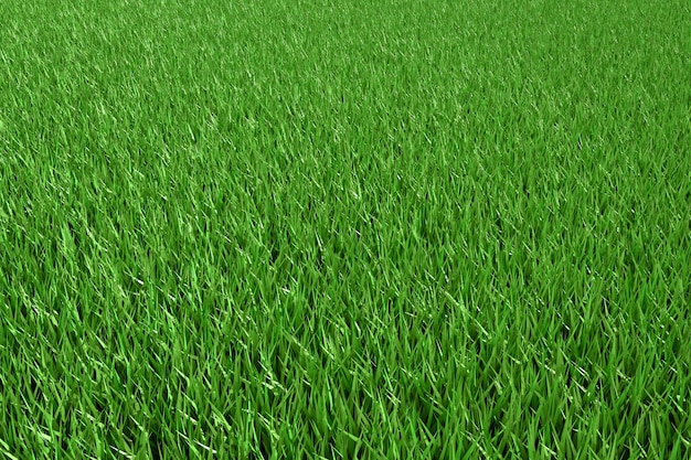 La trama dell'erba verde per lo sfondo. modello di prato verde e sfondo strutturato. rendering 3d.