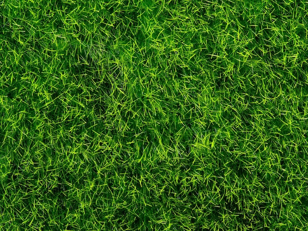 Photo texture of green grass close up