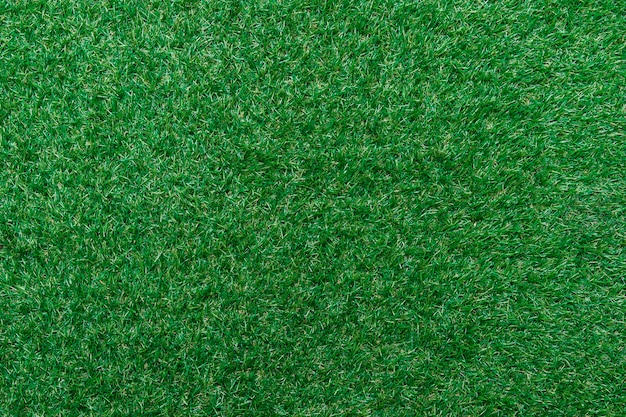 Texture of green grass top view green lawn. perfect golf or\
football, soccer field background