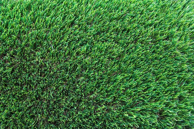 Texture green grass