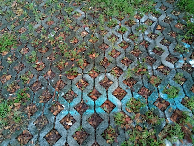 texture of hexagon paving floor