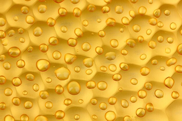 Photo texture honeycombs closeup background