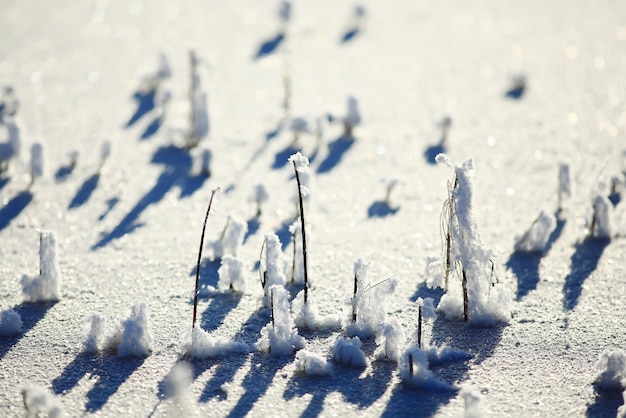 Photo texture ice crystals blue cold background