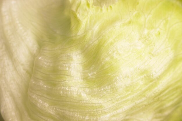 Photo texture of iceberg lettuce salad leaves