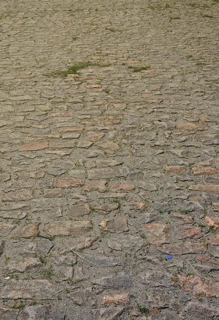 The texture is very old and inaccurately laid out pavers made of relief stones of various shapes