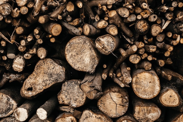 Photo texture of laid out round firewood