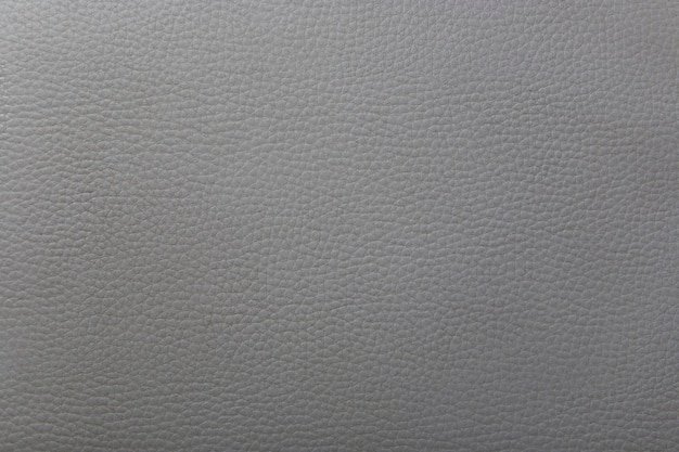 Texture of the leather gray