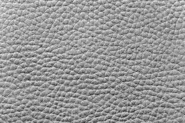 Texture of the leather gray