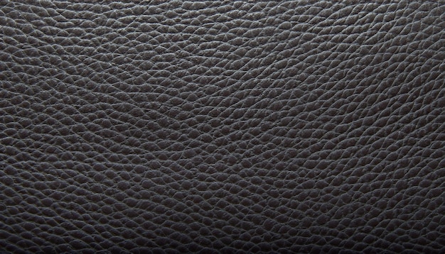 The texture of the leather surface is black