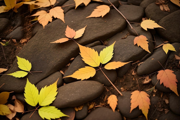 texture of leaves on the ground