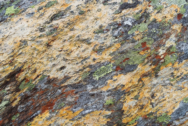 Texture of lichen on stone