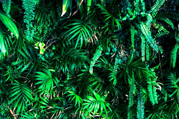 열대 녹색 식물 자연 열대 배경의 많은 신선한 잎의 질감