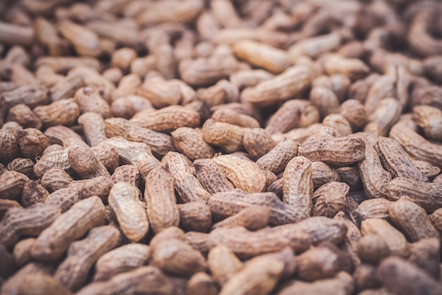 Texture of many peanuts are dried in the sun