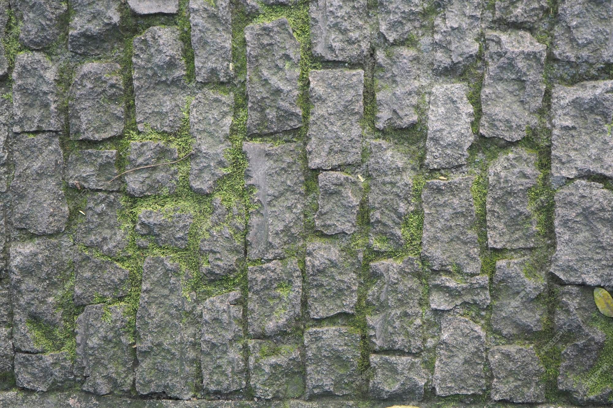 mossy cobblestone texture