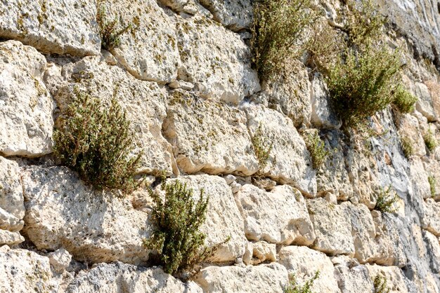 Texture of mountain rocks close up