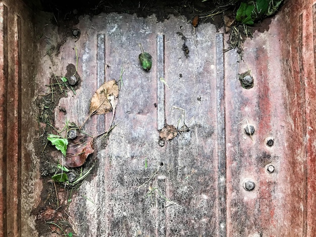 Texture sfondo naturale carrello in metallo rosa con ruggine all'interno sono piante ed erbe sulla trama