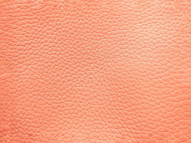 The texture of natural leather is a delicate peach shade