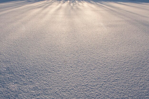 自然な白い雪のテクスチャ雪の影雪の中の太陽光線