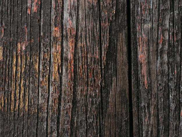 Texture of natural wooden board background