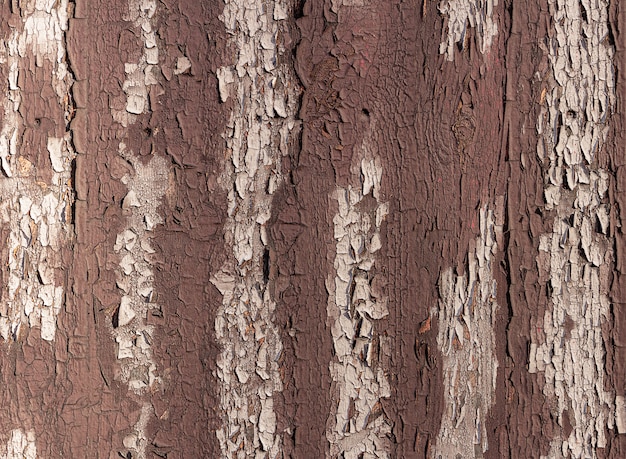 Foto struttura di vecchio recinto di legno marrone con pittura sbucciata