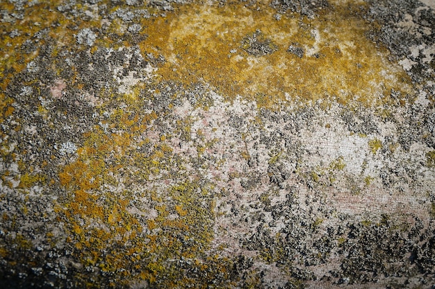 Texture old concrete background natural aging