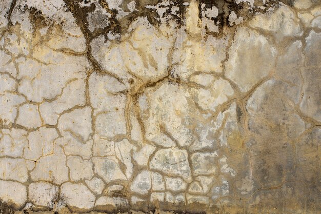 The texture of the old concrete wall for the background