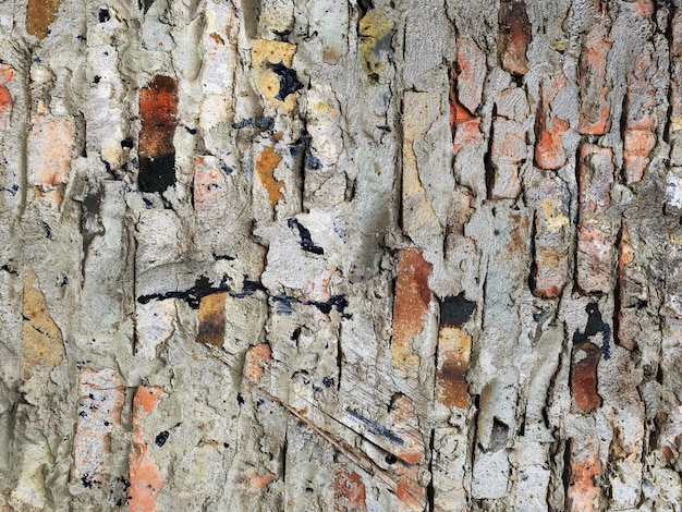 Texture of old concrete wall