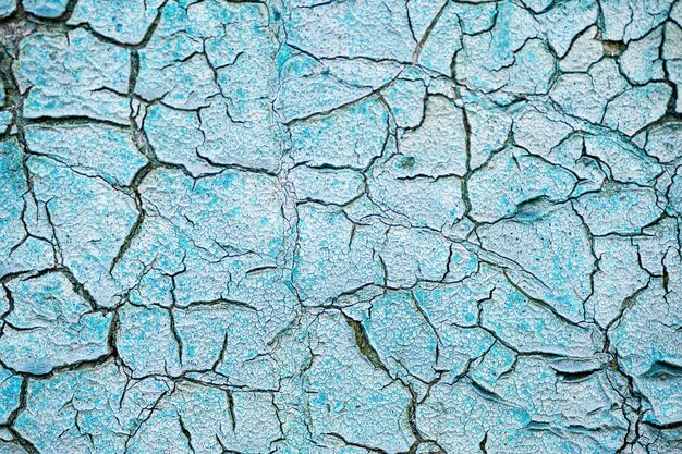 Texture of the old cracked paint. Background for designers.