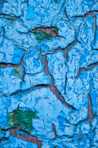 Texture of the old cracked paint. Background for designers.