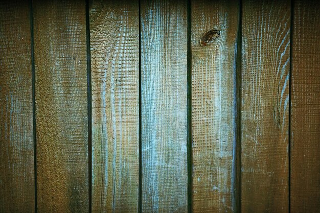 Texture of old fence