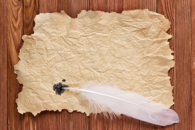 Texture old paper and white feather on the table