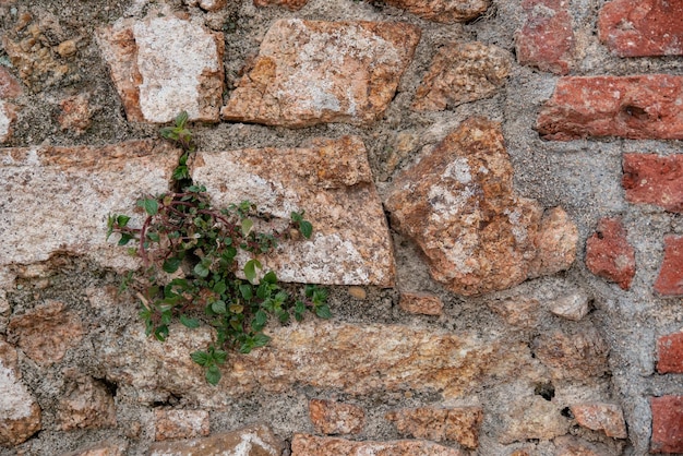 Struttura di un vecchio muro di pietra