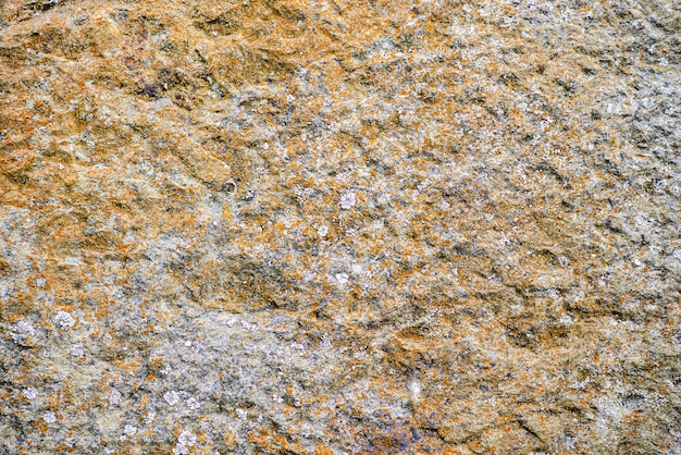 Texture of old stone with mold Can be used as background