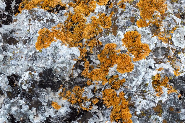 Texture of an old stone with red spots