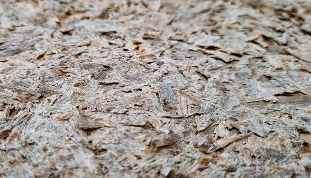 Texture of an old swollen chipboard.