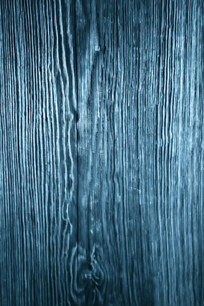 texture old tree blue / abstract wood texture background