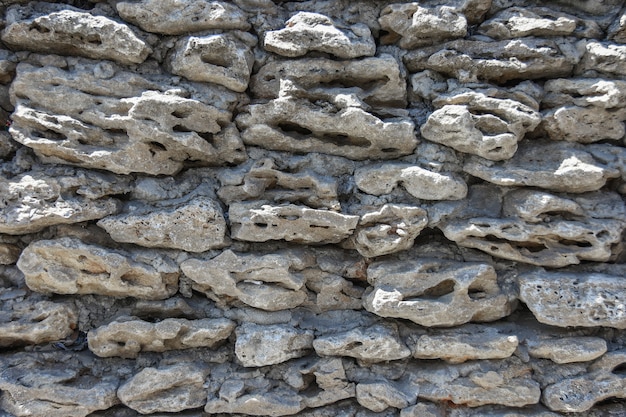 Texture of the old wall of the limestone shell house