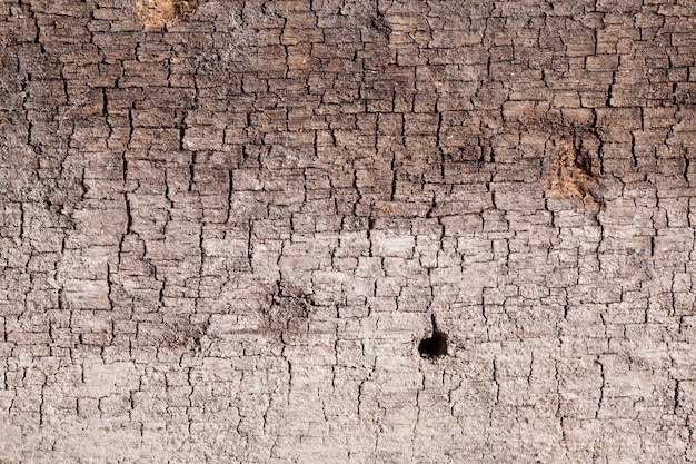 Texture old wood background.