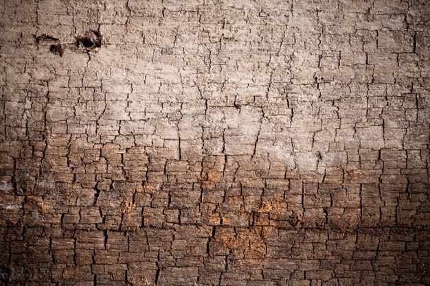 Texture vecchio sfondo di legno.