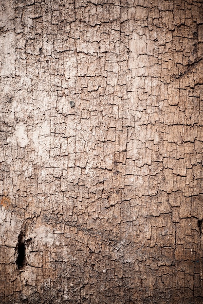 Texture old wood background.